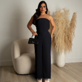 Pleated Fabric Wrap Chest Wide Leg Jumpsuit ASL-6668