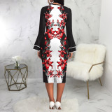 Fashion Print Long Sleeve Midi Dress SMR-11967