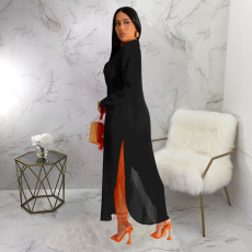 See-through Solid Chiffon Long Shirt And Shorts Two Piece Set YF-10501