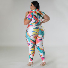Plus Size Fashion Print Short Sleeve Pants Two Piece Set NNWF-7861