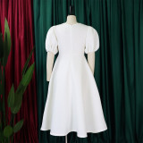 Plus Size Fashion V-neck Bubble Sleeve Dress GATE-D362