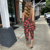 Fashion Print Loose Sling Maxi Dress FSXF-278
