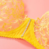 Chain Lace Sexy Erotic Lingerie Bra Set GAXL-2033