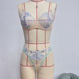 Floral Embroidered Lingerie Bra Erotic Set GAXL-2071