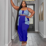 Plus Size Contrast Color Patchwork Sport Two Piece Pants Set NNWF-7875