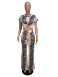 Snake Print Short Sleeve Two Piece Pants Set CHY-1365
