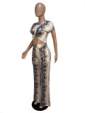 Snake Print Short Sleeve Two Piece Pants Set CHY-1365