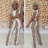 Snake Print Short Sleeve Two Piece Pants Set CHY-1365