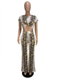 Snake Print Short Sleeve Two Piece Pants Set CHY-1365
