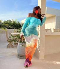 Long Sleeve Print Off Shoulder Mesh Pleated Maxi Dress ZDF-31283
