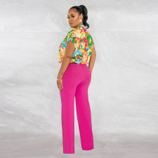 Print Shirts And Straight Pants Two Piece Set YF-10538