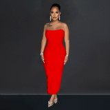 Solid Color Tube Tops Feather Maxi Dress BY-6535