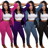 Solid Color Long Sleeve Blazer Two Piece Pants Set LUO-6638