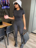 Slim Fit Short Sleeve Top Pants Suit GMOY-1862
