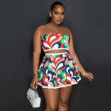 Sexy Print Wrap Chest And Pleated Skirt Two Piece Set YF-10566