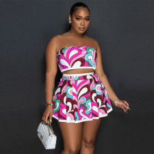 Sexy Print Wrap Chest And Pleated Skirt Two Piece Set YF-10566