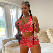 Casual Print Sleeveless Shorts Two Piece Set WSYF-5965