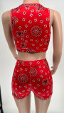 Casual Print Sleeveless Shorts Two Piece Set WSYF-5965
