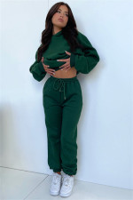Solid Long Sleeve Hooded Plush Sweatshirt 2 Piece Set SSNF-211333