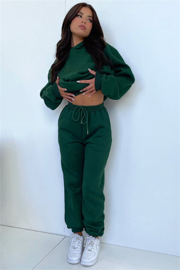 Solid Long Sleeve Hooded Plush Sweatshirt 2 Piece Set SSNF-211333
