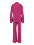 Solid Long Sleeve Pleated Two Piece Pants Set ANDF-1555