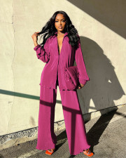 Solid Long Sleeve Pleated Two Piece Pants Set ANDF-1555