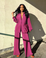 Solid Long Sleeve Pleated Two Piece Pants Set ANDF-1555