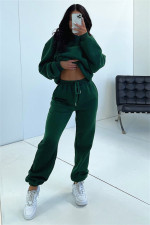 Solid Long Sleeve Hooded Plush Sweatshirt 2 Piece Set SSNF-211333