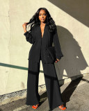Solid Long Sleeve Pleated Two Piece Pants Set ANDF-1555