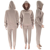 Solid Long Sleeve Hooded Plush Sweatshirt 2 Piece Set SSNF-211333