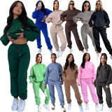 Solid Long Sleeve Hooded Plush Sweatshirt 2 Piece Set SSNF-211333