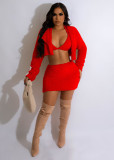 Sexy Double Sided Velvet Solid Color Three Piece Skirts Set BS-1353