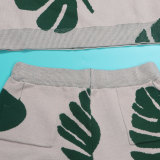 Leaf Print V-neck Long Sleeve Sweater Two Piece Shorts Set NY-098