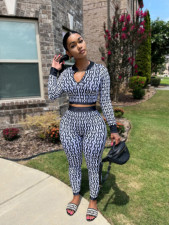 Knits Print Long Sleeve Zipper Two Piece Pants Set OLYF-6131