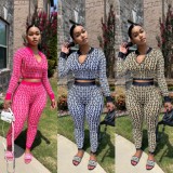Knits Print Long Sleeve Zipper Two Piece Pants Set OLYF-6131