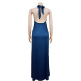 Fashion Print Backless Halter Maxi Dress BY-6632