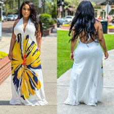 Fashion Print Backless Halter Maxi Dress BY-6632