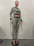 Knits Print Long Sleeve Zipper Two Piece Pants Set OLYF-6131