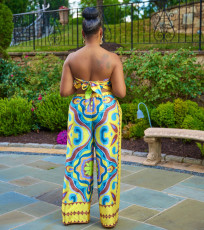 Plus Size Casual Print Tube Tops Tie Up Two Piece Pants Set FNN-8718