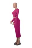 Solid Color Long Sleeve Two Piece Skirts Set MZ-2810