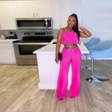 Press Pleat Splicing Webbing Solid Wide Leg Two Piece Set NY-2812