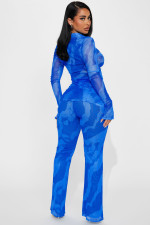 Fashion Mesh Print Long Sleeve Two Piece Pants Set YD-8772