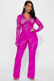 Fashion Mesh Print Long Sleeve Two Piece Pants Set YD-8772