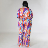 Plus Size Print Deep V Neck Tie Up Two Piece Pants Set NNWF-N7918