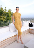 Solid Color Short Sleeve Slim Knits Bodycon Dress ZSD-0290