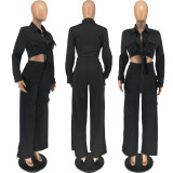 Solid Color Long Sleeve Wide Leg Pants 2 Piece Set FOSF-8370