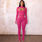 Solid Sexy Hollow Out Long Sleeve Tight 2 Piece Pants Set XEF-34568