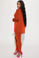 Casual Solid Color Long Sleeve Two Piece Pants Set YD-8775