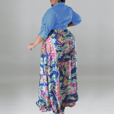 Plus Size Fashion Print Patchwork Long Sleeve Maxi Dress GDAM-218310