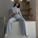 Solid Long Sleeve Crop Tops And Pants Two Piece Set FL-21290
